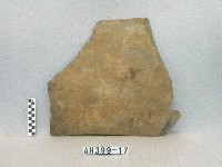 藏品(板棺側板殘片)的圖片